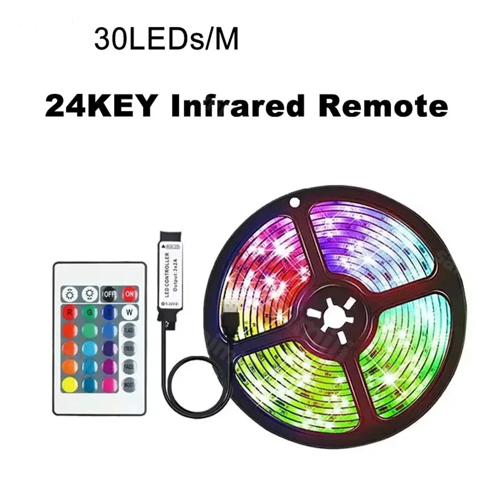 RGB LED Strip Light 24Key Remote Control Flexible Lamp Tape 2835 SMD Diode Ribbon TV Backlight For Home Christmas Party Decor